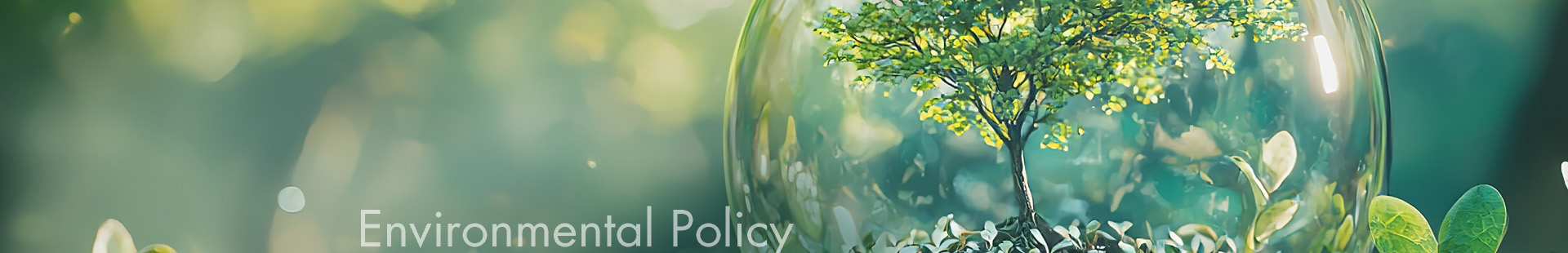 Environmental Policy