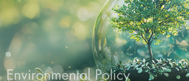 Environmental Policy